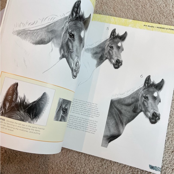 horses painting book NWT - Picture 3 of 4